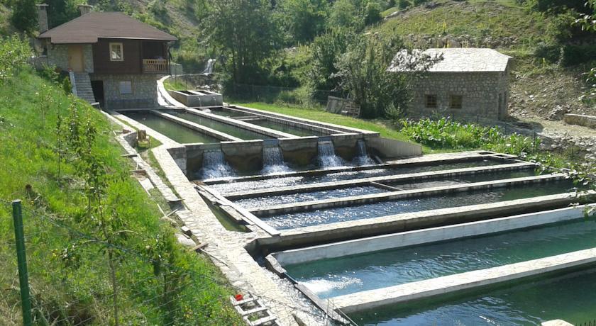 Maison d'hôtes Etno Selo Vrelo & Camping à Berane Extérieur photo